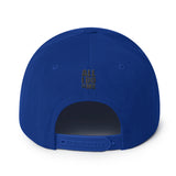 #AlliDoIsMe WoolBlend Snap Hat